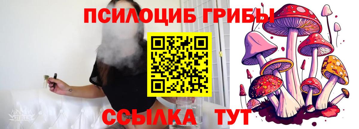 Псилоцибиновые грибы мицелий  Вход с VPN  Волгодонск  Псилоцибиновые грибы ЛСД 